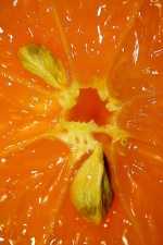 Naranja