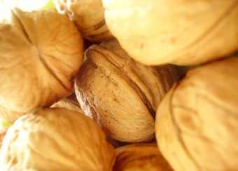 Nueces