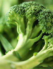 brocoli.jpg