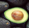 palta12.jpg