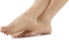 pies-1.jpg