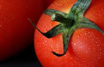 Tomate antioxidante