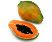 fig22.jpg