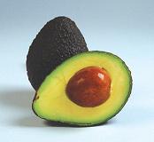 palta.jpg