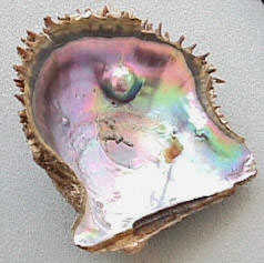 fig4.jpg