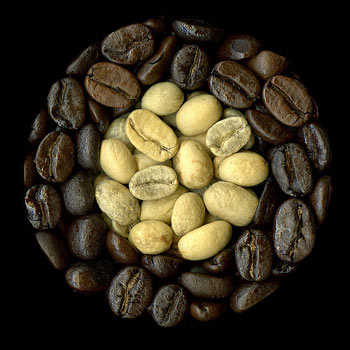 fig18.jpg
