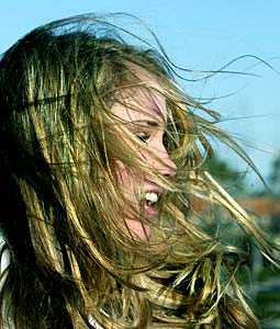 wind