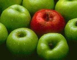 vinagremanzana