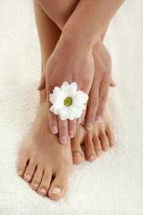 pies