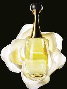 perfumesdiaynoche7