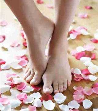 pies