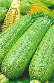 Learn about the properties of zucchini