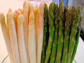 bajarpesoalimentos5