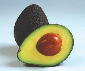 palta